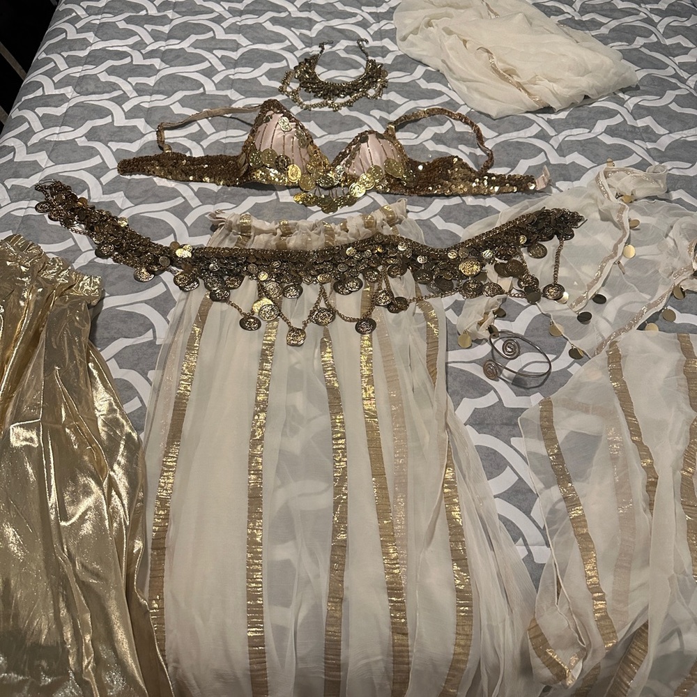 COPY - Belly dancer costume